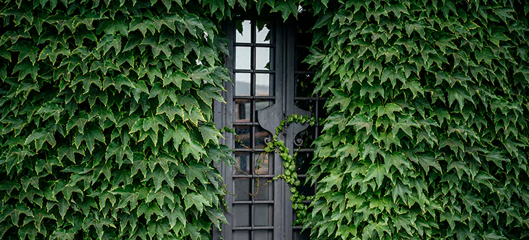 Garden Gate Repair in Port Charlotte, FL