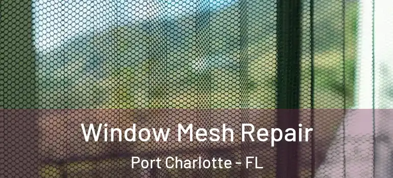  Window Mesh Repair Port Charlotte - FL