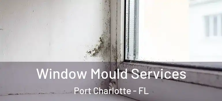  Window Mould Services Port Charlotte - FL
